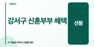 강서구 신혼부부가 확인할 구 지원금 여부와 서울시 및 보건소 지원제도